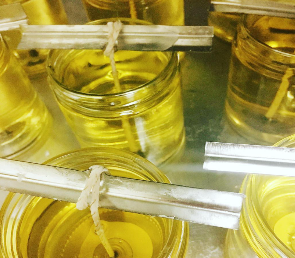 Dogs Are Cooler Than People • soy candle