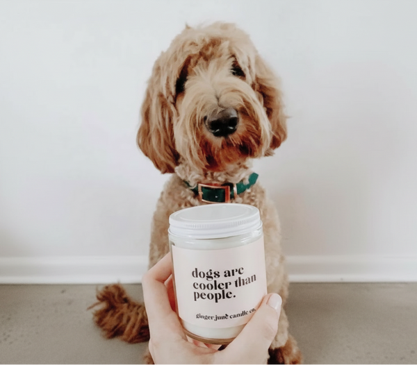 Dogs Are Cooler Than People • soy candle